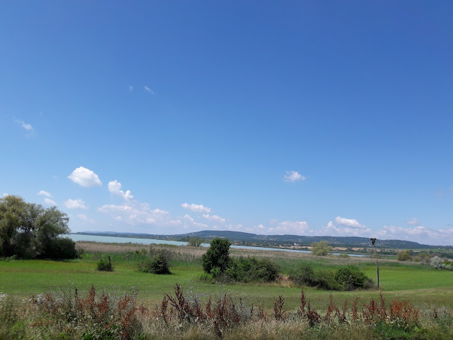 Apáti Étterem, Kávézó - Vendéglátás