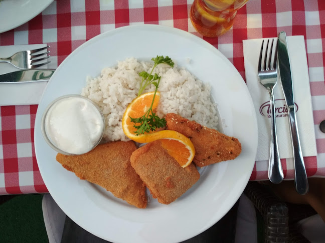 Comentarii opinii despre Tercia Fertőendréd