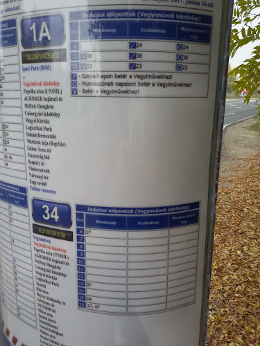 Opinii despre Tomi vendéglő în Szolnok - Vendéglátás