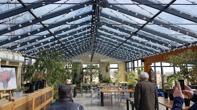 Opinii despre Hernyák Birtok în Etyek - Vendéglátás