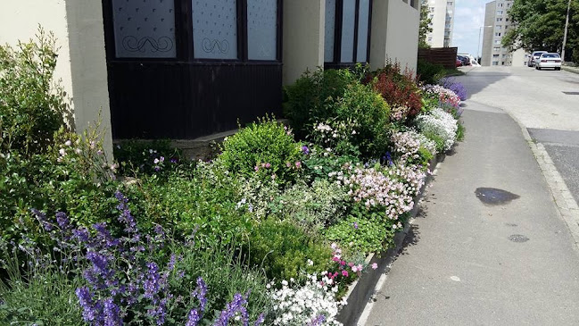 Comentarii opinii despre Vanília Fagyizó