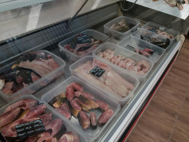 Papp Halbolt Halszaküz