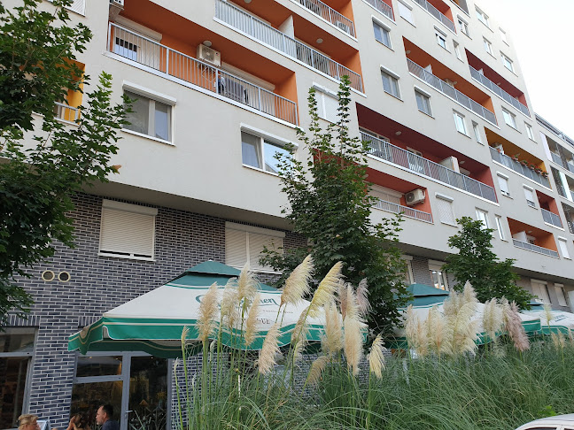 Comentarii opinii despre Bodega konyha