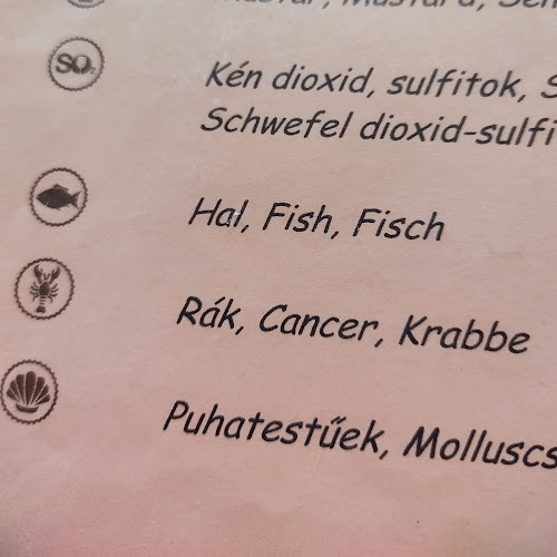 Kecskemét, Alsócsalános 3., 6000