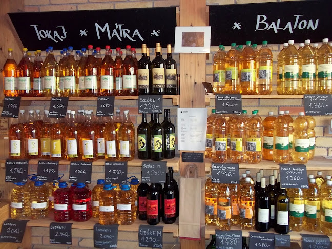 Vác, Dr. Csányi László krt. 27, 2600