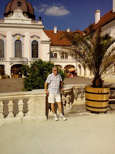 Comentarii opinii despre Zöld Sasok Étterem és Panzió