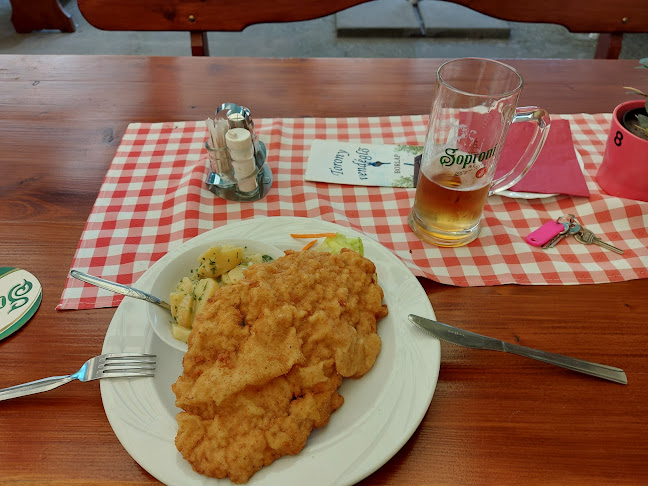 Torony Kertvendéglő - Vendéglátás