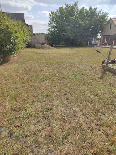 Rozsdas Patko - Berhida