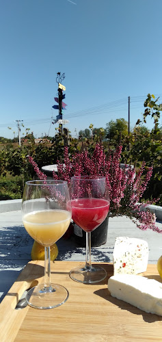 Comentarii opinii despre PINO PINCE