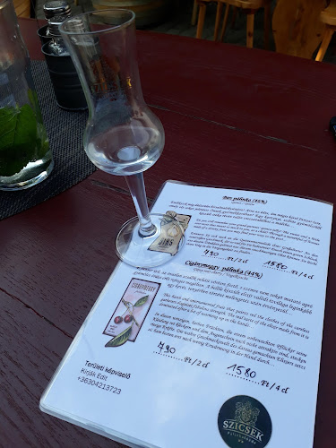 Opinii despre Noah Étterem în Fertőrákos - Vendéglátás