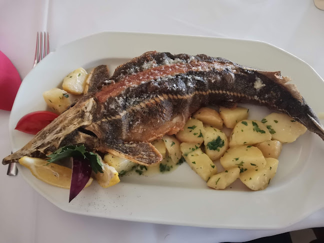 Opinii despre Vizafogó Panzió és Étterem în Baja - Vendéglátás