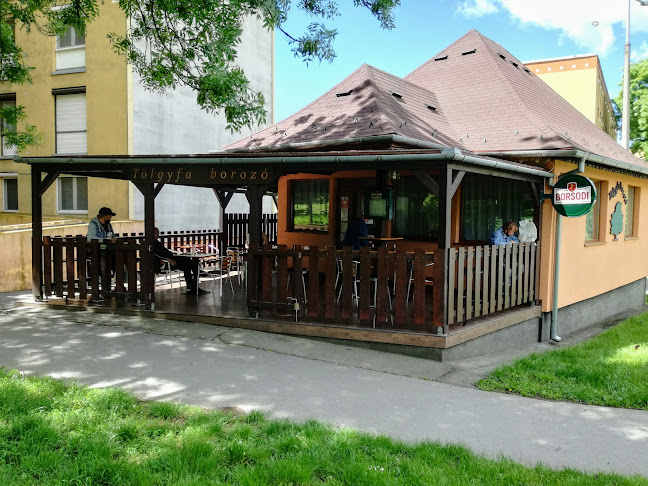 Tölgyfa borozó - Pécs