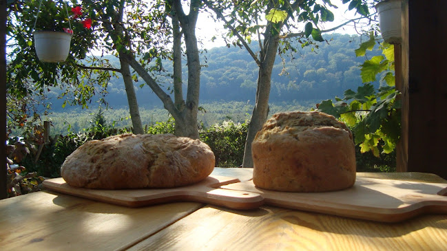 Opinii despre Farm Inn Fogadó în Zalacsány - Vendéglátás