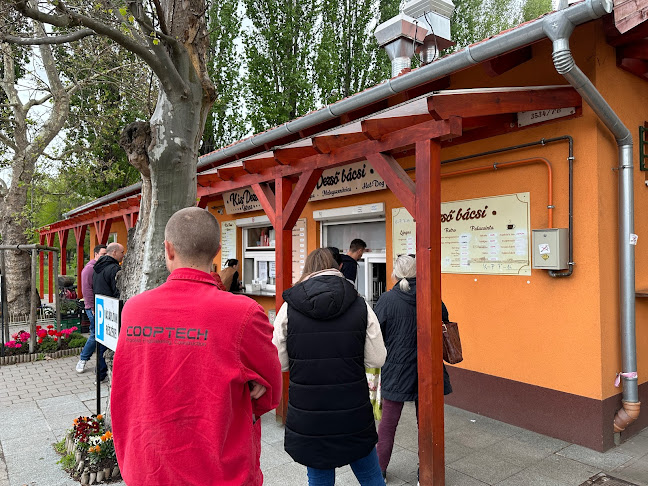 Comentarii opinii despre Dezső bácsi - Lángos Palacsinta Kávé Üdítő