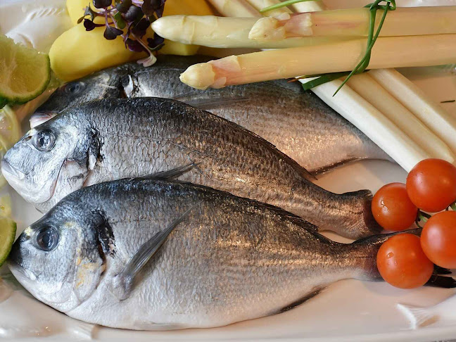 Ko-Di Bt. - Kaposvár