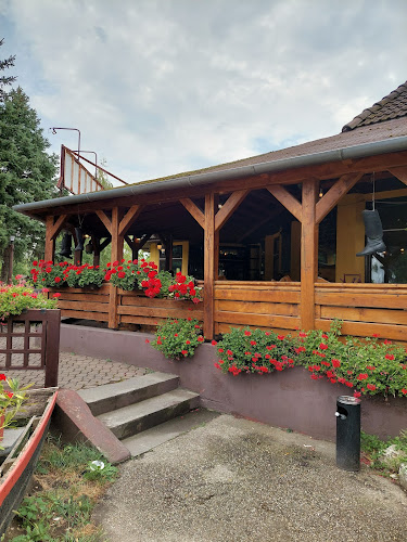 Comentarii opinii despre Harcsa Csárda