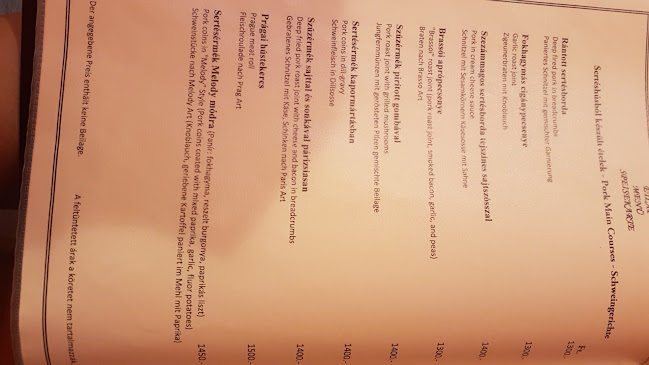 Opinii despre Melody Étterem în Püspökladány - Vendéglátás