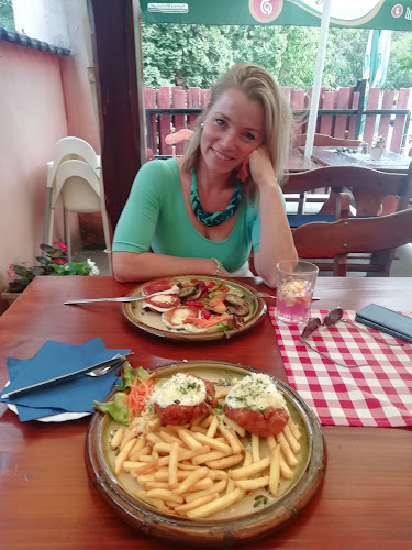 Comentarii opinii despre Torony Kertvendéglő