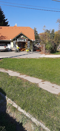 Borháló Budakeszi - Vendéglátás