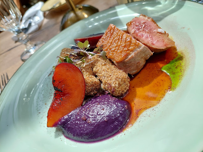 Dabas Deli ∙ Bistro - Vendéglátás