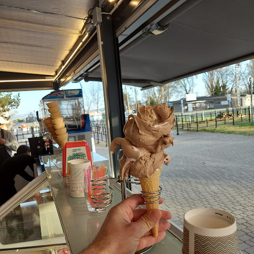 Pelso GELATERIA Kft - Vendéglátás