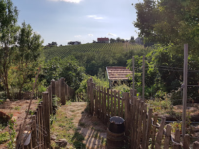 Papa Áron vendéglője