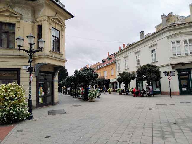 Opinii despre Baross 21. Fagylaltozó în Győr - Vendéglátás