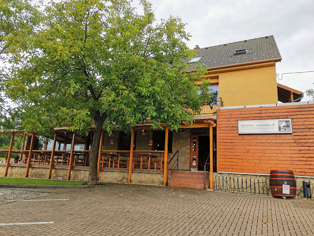 Csopak Vendéglő és Pizzéria - Vendéglátás