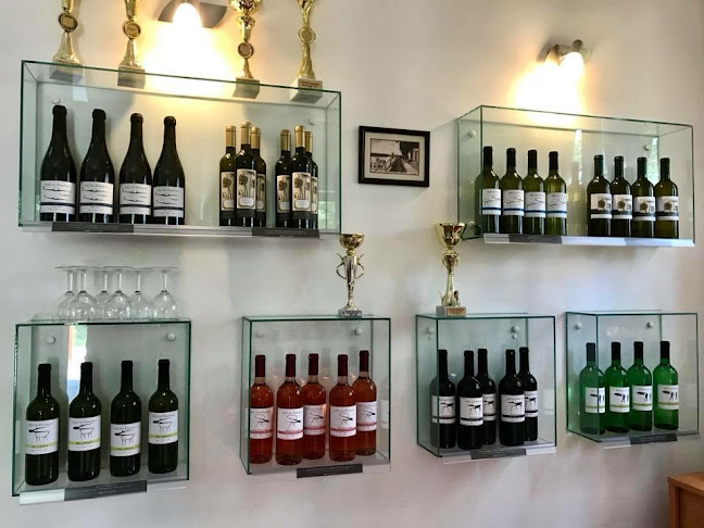 Comentarii opinii despre Mákvirág Borház-vendéglő