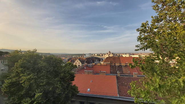 Comentarii opinii despre Aranybástya