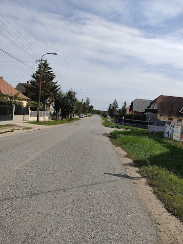 Berhida, Liszt Ferenc u, 8181