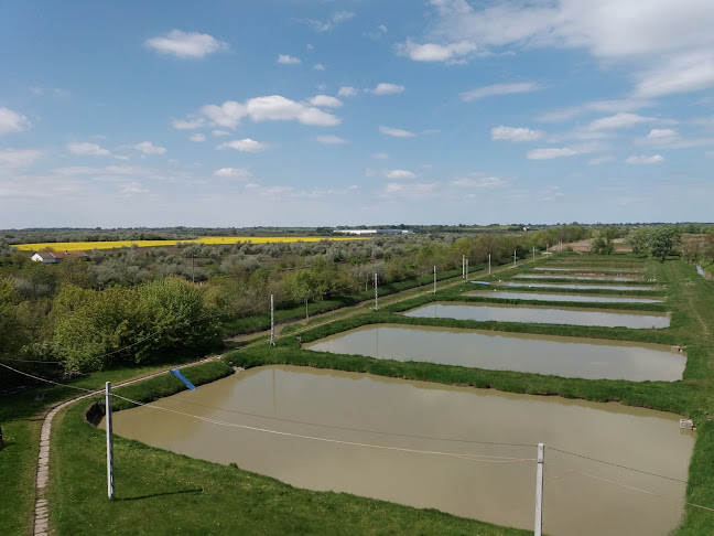 Fehértói Halászcsárda és Szálloda - Vendéglátás