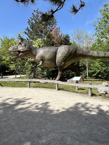 Pizza Pasta - Veszprém