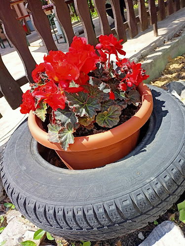 Vértescsárda - Vendéglátás