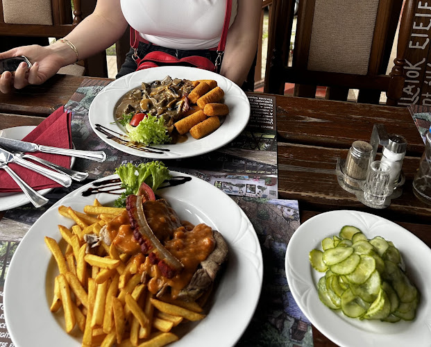 Opinii despre Tölgyes Csárda în Szentmártonkáta - Vendéglátás