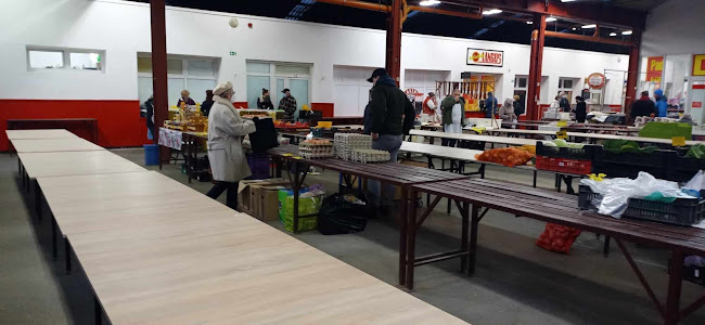 Ajka, Alkotmány u. 13, 8400