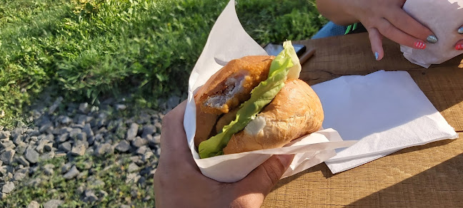 Opinii despre Toldi FaLó Faloda în Alsótold - Vendéglátás