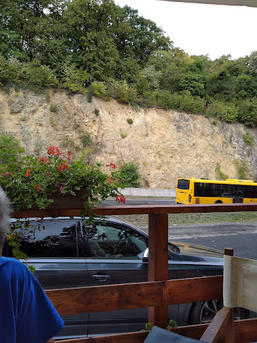 Comentarii opinii despre Mecsek Pihenő