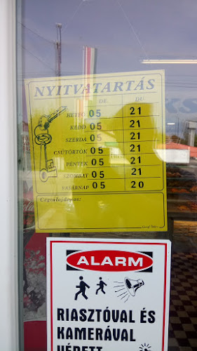 Kóka, Dózsa György út 42-c, 2243