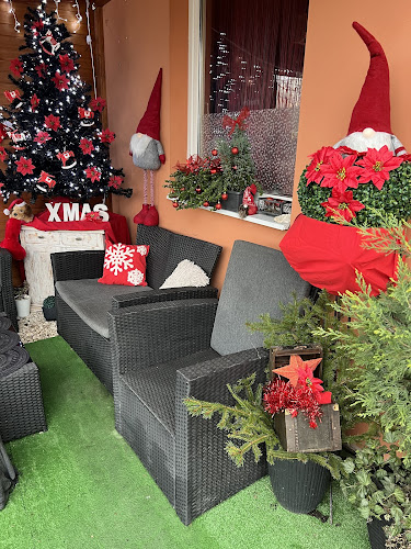 Varadi Café - Vendéglátás