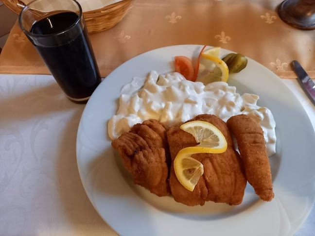 Csenger, Ady Endre u. 12, 4765