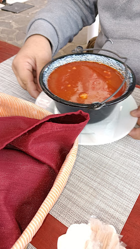 Múzeumkert Vendéglő és Panzió - Vendéglátás