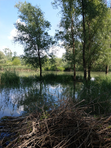 Comentarii opinii despre Mezítlábas Büfé