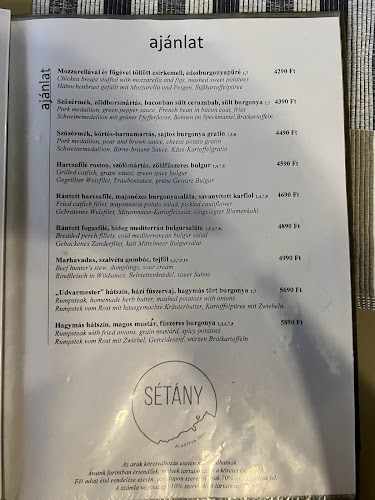 Comentarii opinii despre Sétány Étterem-Kávézó