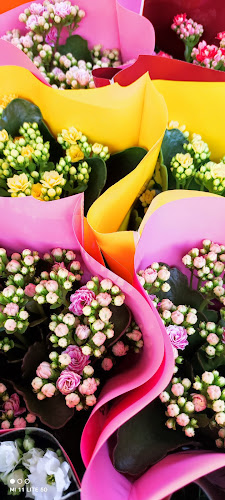 Opinii despre Budapesti Virágpiac - Nagykereskedelem în Budapest - Vendéglátás