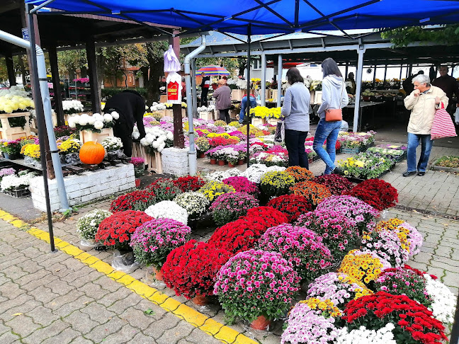 Comentarii opinii despre Központi Piac és Vásárcsarnok