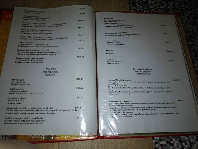 Comentarii opinii despre Harsona Panzió és Étterem