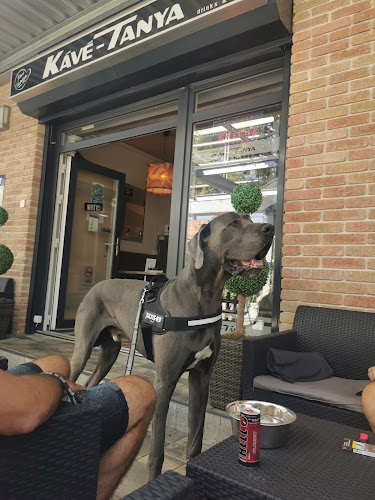 Kávé-Tanya