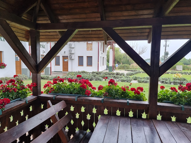 Panyolai Szilvórium Zrt.