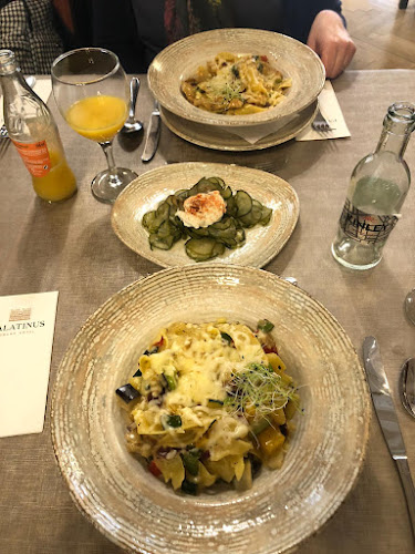 Opinii despre Palatinus Étterem în Pécs - Vendéglátás